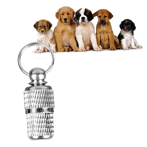 FONDOTIN 2Stücke Katzen ID Röhrchen Silber