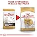Royal Canin Jack Russel Adult 1,5 kg, 1er Pack (1 x 1.5 kg)