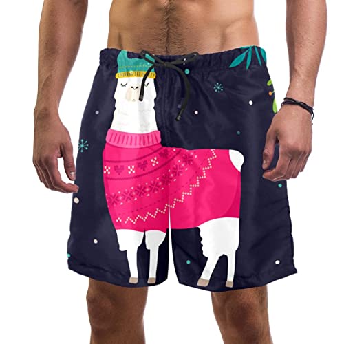Maillots de bain homme Noël short plage animal alpaga séchage rapide