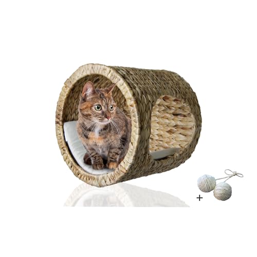 Rohrschneider Katzenhöhle Wandmontage | Wandhöhle Katze mit Schlafhöhle und Hochsitz | Regal Katze als Wandbett für Katzen | Katzenmöbel...