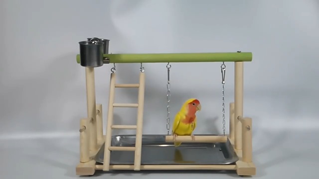 Amazon | インコ 遊び場 鳥の遊び場 止まり木 鳥用 遊び場 おもちゃ