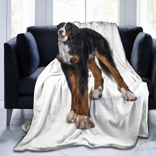 o[j[Y}EehbO  (3) Aj y  uPbg tl 􂦂 ÓdCh~ g _炩 Ȃ߂炩ȔG lGKp 1OJ289