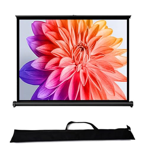 Pantalla de proyección portátil 40in 16:9