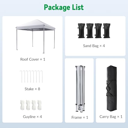 Driftalia 10x10 Pop Up Canopy with Sandbags