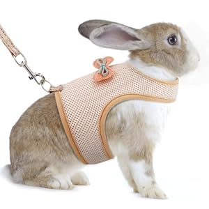 AIITLE Rabbit Harness and Leash Set with Cute Bow, Bunny Leash Vest Mesh Eescape Proof Walking Training for Small Animal Pets Kitten Puppy Squirrel Ferret Pig Bunny Beige S