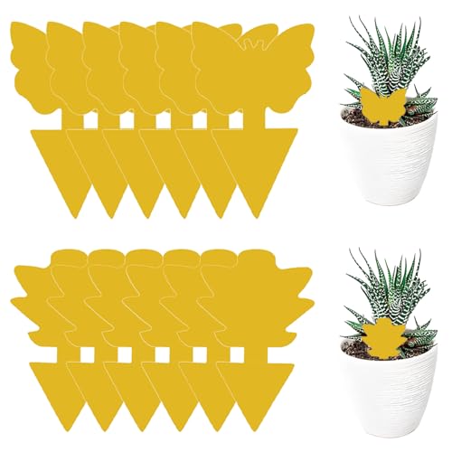 👍Inodore ed ecologico: queste trappole adesive per mosche sono ecologiche, atossiche e inodori. Sono innocue per l'uomo e le piante e adatte solo per uso interno. Non utilizzare all'aperto per proteggere insetti utili come le api. L'irrigazione non ne compromette l'efficacia.