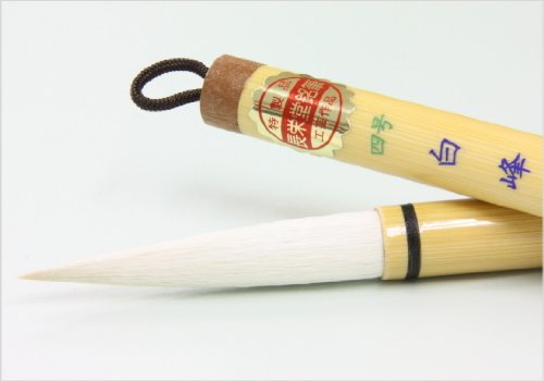 14150 h p~𕝗pM (4) rсEn