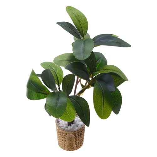 Molteplici funzioni: le mini piante servono come decorazione per diversi ambienti e offrono sia un fascino estetico che un uso pratico come oggetti di scena fotografici; queste miniature completano anche case delle bambole e oggetti da collezione e aggiungono un tocco accattivante all'arredamento d'interni o alle composizioni artistiche in diversi scenari creativi.