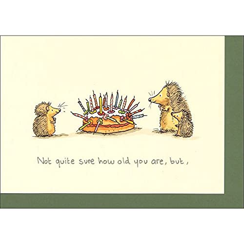 O[eBOJ[h a/o[Xf[ړI u˂킩ȂǁcBv 킢 CXg bZ[WJ[h Mtg 蕨 莆 t CMX