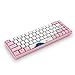 EPOMAKER AKKO 3068 68-Key Cherry MX Switch World Tour Tokyo Bluetooth Mechanical Keyboard with PBT Keycaps (Cherry Blue Switch)