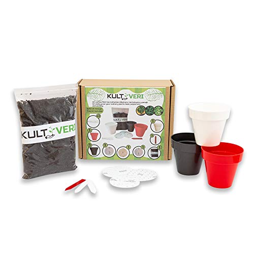 KULTIVERI Set de Cultivo Fácil de Plantas Culinarias: Albahaca, Perejil y Hierbabuena. 3 Macetas y Discos de Semillas Siembra Fácil. Tu Propio Huerto en la Cocina Cover