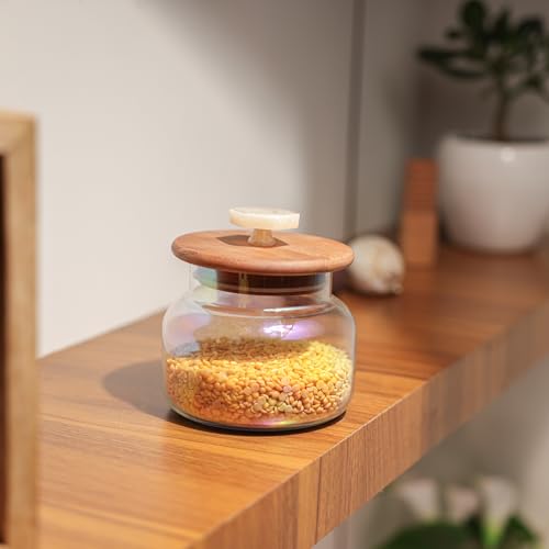 Image of Ireka Home Halo Glass Jar with Wooden Lid | Modular Transparent Storage Organizer Jars for Kitchen | Tea Coffee Sugar Dry Fruits Storage