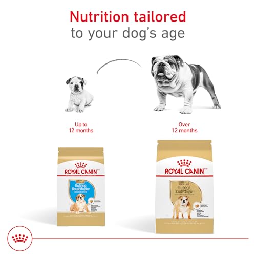 ROYAL CANIN Breed Health Nutrition Bulldog Puppy Dry Dog Food, 6-Pound by Royal Canin