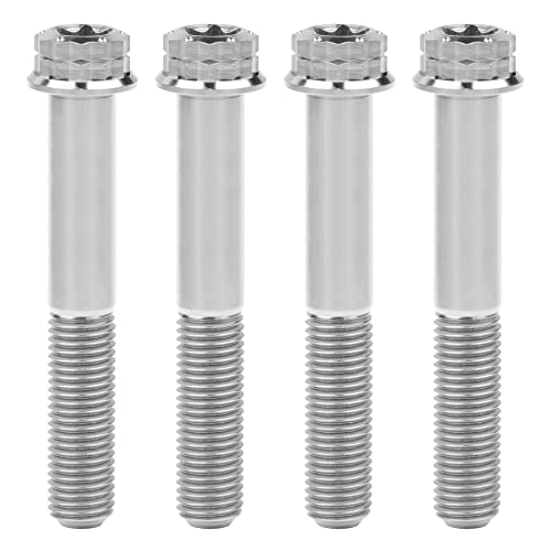 Titanium Flange M10 Bolt (M10x70mm Pitch 1.25mm, Silver)