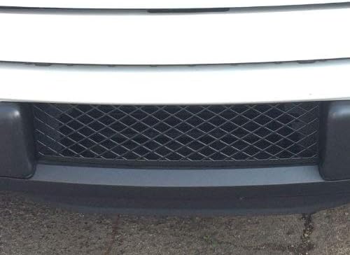 ACCESSPEED OEM Style Lower Bumper Grille - Durable Factory-Style ABS Plastic Grill Lower Bumper Insert - Black - Compatible with Ford F150 2009-2014