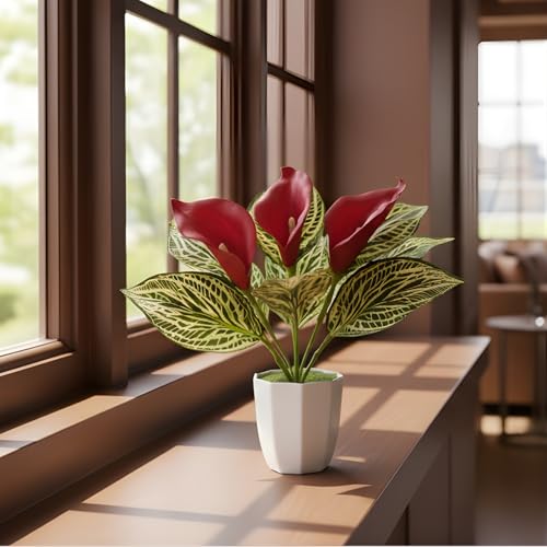 Image of fancymart Artificial Calla Lily Plant with Pot - 30 cm Height Decorative Flower Leaves (Pack of 1) | Realistic Faux Plant for Home & Office Decor | Table, Shelf & Desk Decoration