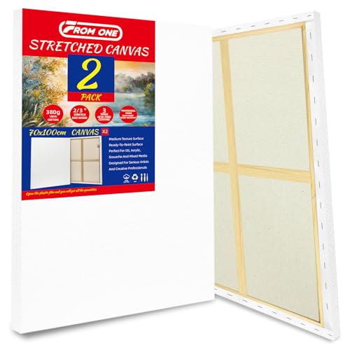 2-Pack 70x100cm Stretched Canvas 380gsm Cotton for Oil & Acrylic