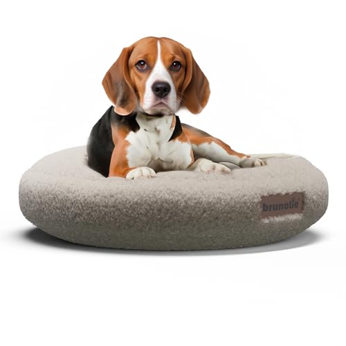 brunolie SnugNest Hundebett 70 cm – Weiches Bouclé-Gewebe, rutschfeste Unterseite, Tragegriff, Waschbarer Bezug, Hochwertige Polsterung, Für Mittelgroße Hunde, Mittelgrau