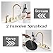 FROPO Gold Kitchen Faucet with Side Sprayer - 2 Handles 8 Inches Centerset Sink Faucets 3 or 4 Hole RV Kitchen Sink Faucet Commercial Lead-Free Utility Faucet with High Pressure Sprayer & Water Hose
