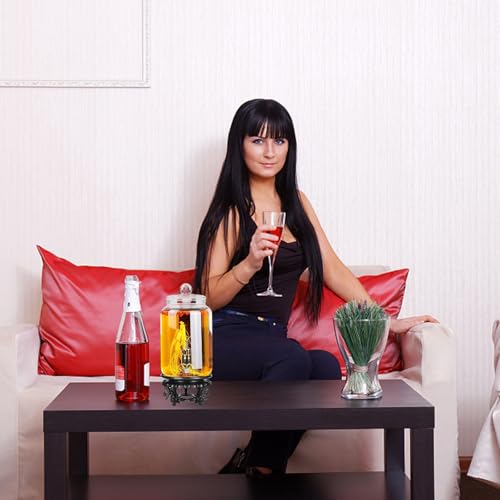 Contenedor de bebidas de vidrio transparente con grifo y base estable OSALADI de 2,5l 5