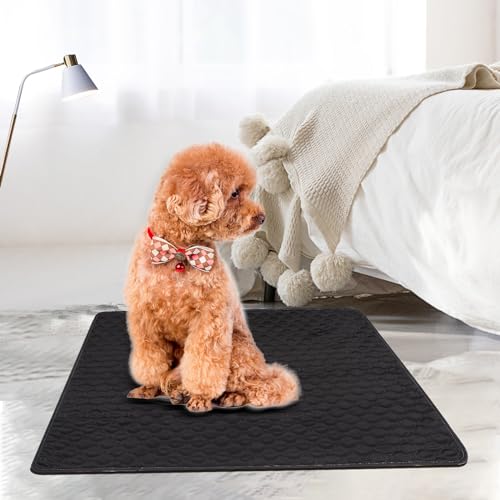 Lollanda Waschbar Welpenunterlagen, Wiederverwendbare Matten für Hunde, Hundematte Bodenschutz Waschbare, Haustier Unterlagen für Drinnen, Draußen, Reisen(60X45CM,Schwarz)