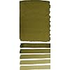 Daniel Smith Extra Fine Watercolor Paint, 15ml Tube, Olive Green, 284600063, 0.5 Fl Oz (Pack of 1) #1