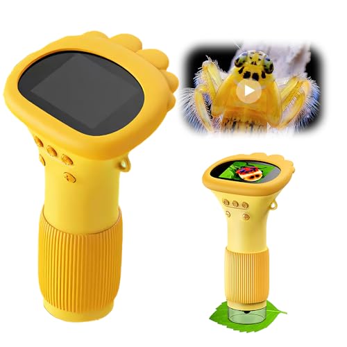 Do camera lenses see upside down