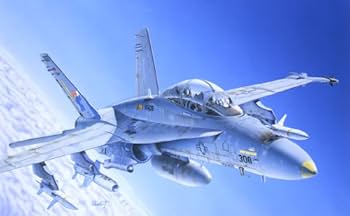 イタレリ 戦闘機プラモデル 1/72まとめ売り18点 Amazon | タミヤ イタレリ 16 1/72 F/A-18C/D ワイルド