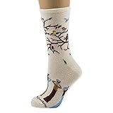 Wheel House Designs Adult Birdwatcher Crew Style Socks 9-11 Natural