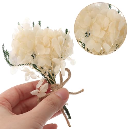 HEALLILY ドライフラワー装飾品8束入り 花瓶詰め用ドライプラント フラワーアレンジメントに最適家族パーティーやホテルのインテリアにぴったりの自然風多様スタイルの装飾品 スタイル指定不可 ランダムスタイル [4]