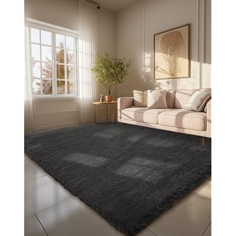 Ophanie 6x9 Black Shag Rug Cover