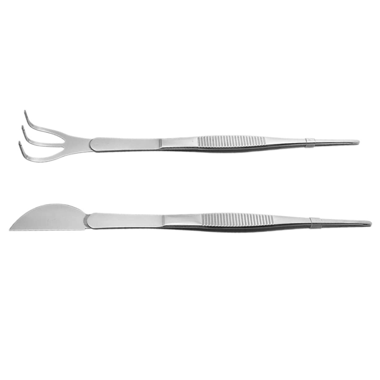 Happyyami 6pezzi Pinzette Per Bonsai Acciaio Inossidabile Strumenti Per Giardinaggio Ergonomici e Pratici Per Delle Piante Per Lavori Di Precisione e Manutenzione Di Terreni e Muschi