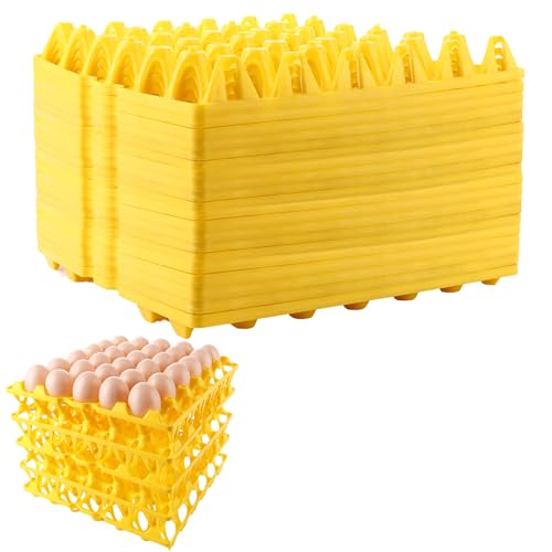 CYEER Lot de 20 Plateaux à Œufs en Plastique pour 30 Œufs – Casiers Empilables Jaunes pour Transport & Stockage – Alvéoles Robustes pour Ferme, Marché & Réfrigérateur – Réutilisables