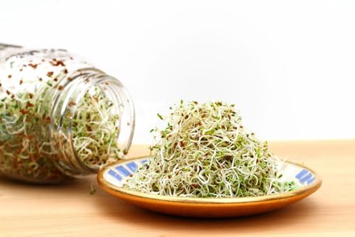 Image of NatureVit Alfalfa Seeds for Sprouting 200g | Rich in Vitamins & Minerals | Natural Edible Alfa Alfa Seeds | Sprouting, Eating, Salad