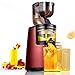 Fruta y Vegetal Cold Press Extractor de Jugo Slow Juicer Extractores de Zumo Sorbete y Helado de Frutas - Boca Ancha de 81MM, Extractor de Masticación Lenta, Sin BPA