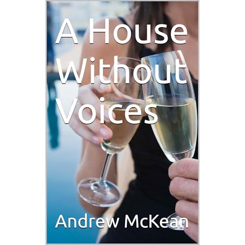 A House Without Voices Audiolibro Por Andrew McKean arte de portada