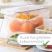 LocknLock PP Classic Aufbewahrungsbox luftdicht mit Griff & Ablaufgitter| 6,5L | 29,5 x 23 x 13,8 cm | 100 % luft- und wasserdichter Vorratsbehälter mit Deckel | Gefrierfeste Aufbewahrungsdose