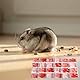 TUKNN Kühlmatte für Hamster, Kühlmatte für Meerschweinchen, Kaninchen-Kühlkissen Hamster, Kühlung Pad Sommer, Meerschweinchen Schlafmatte Bett, 2 Stück