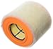 ACDelco GM Original Equipment A3220C (39030321) Air Filter