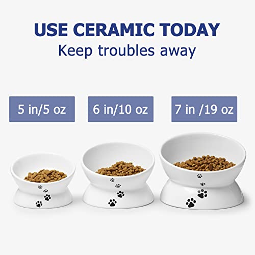 13 Best Elevated Cat Bowls for Good Posture (2023 Reviews)