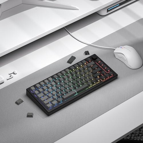 Image of dagaladoo Double Shot PBT keycaps for Mechanical Keyboard,Shine Through keycap Cherry Profile,Gradient Grey,Side Printed Keyboard caps for Mechanical Gaming Keyboards(121key,only keycaps)
