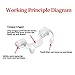 Wonsunss Vampire Fangs, Retractable Halloween Teeth Scary Creepy Fake Vampire Fangs Teeth for Kids Adults ，Fake False Teeth for Themed Party, Cosplay（3Pcs