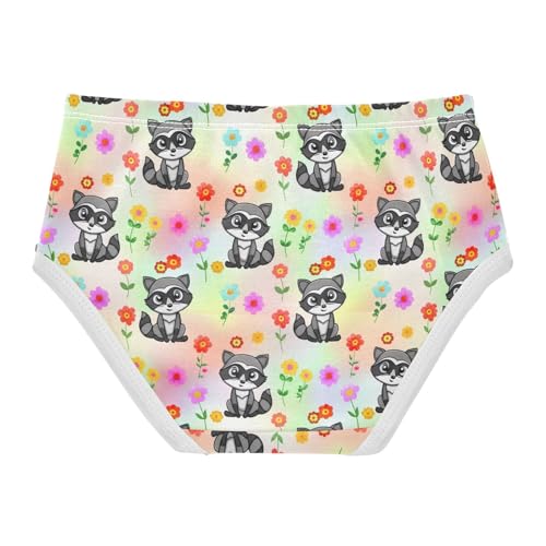 Cute Cartoon Raccoons Animal Toddler Girls Underwear 2t Cotton Little Girl Panties Pattern Briefs Girls Undies2