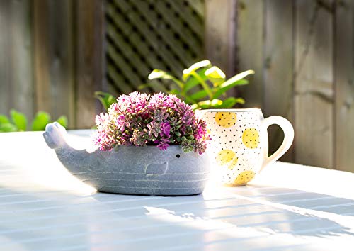 Abbott Collection Small Whale Low Planter - Cement, Blue Grey (8 inches L) by Abbott Collection - Image 4