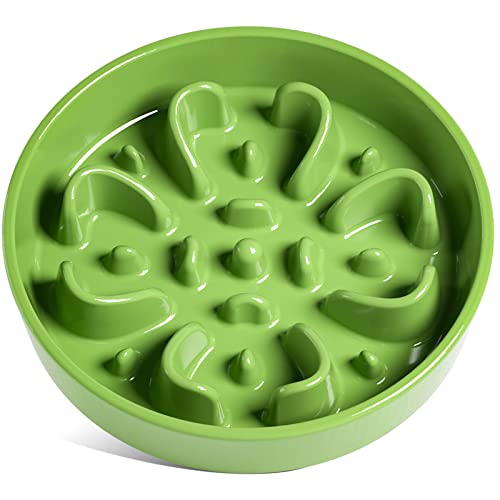 LE TAUCI Tazones de cerámica para Perros de alimentación Lenta, Cuenco de alimentación Lenta para Perros de Raza Mediana y Grande, Verde, L-1200 ml