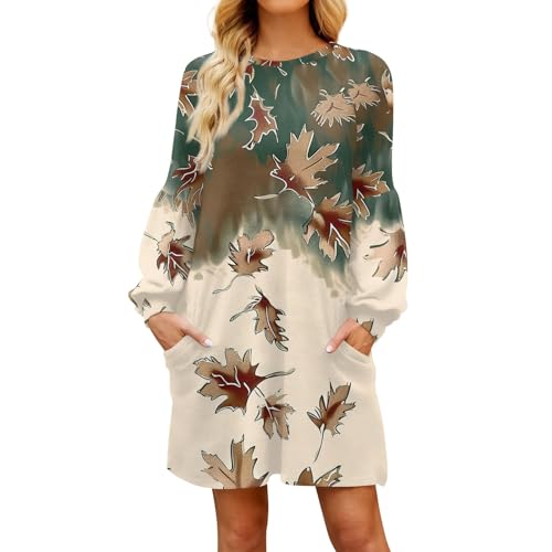 Kleider Winter Damen Elegant A-Linien Tunika Kleid Damen Langarm mit Taschen Damenkleider Kurz mit Muster Freizeitkleider Rundhalsausschnitt Lose...