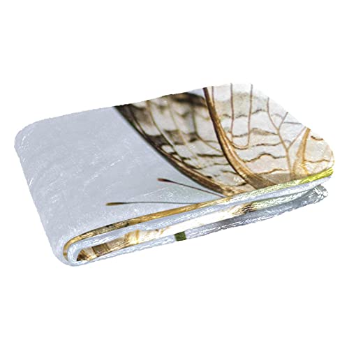 Couverture douce papillon haut de gamme chaude et résistante
