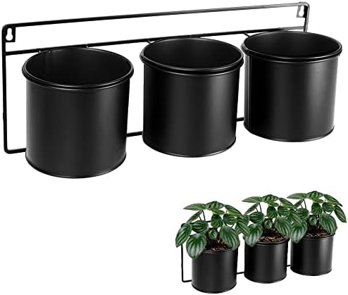 TOYANDONA Hydroponische Pflanzkörbe 2 Stück - Wandmontiert Für Süßkartoffeln