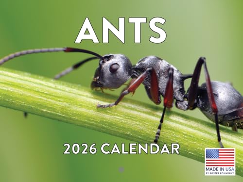 Ant Calendar 2026 Ants Monthly Wall Calender 12 Month Ants Gifts For Insect Lovers | American Made In The USA