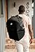 WAYB Pico Travel Car Seat with Premium Carrying Bag- Lightweight, Portable, Foldable - Perfect for Airplanes, Rideshares, and Road Trips - Forward Facing for Kids 22-50 lbs. and 30-45